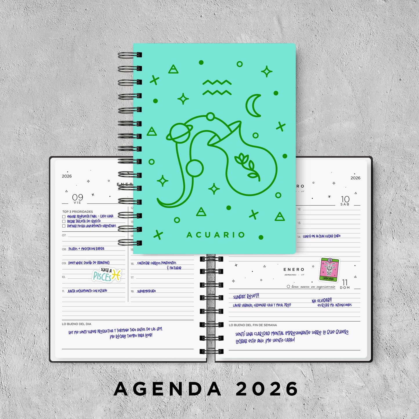 ACUARIO - AGENDA 2026