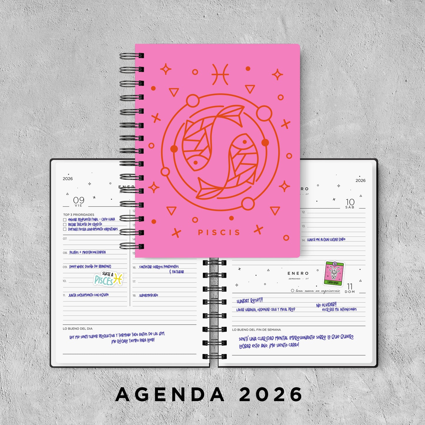 PISCIS - AGENDA 2026